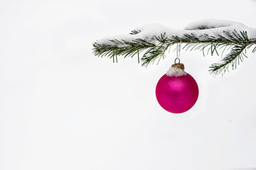 Pink Christmas Ornament Hanging on Snowy Branch on white background.