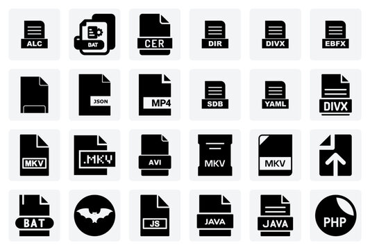 Developer-Focused File Format Pictograms For Code, Configuration, And Digital Video Management.