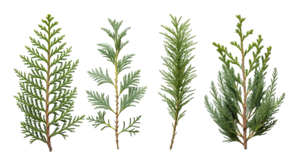 Four Green Conifer Trees with Overlapping Pixelated Background in Various Shades of Green and Brown