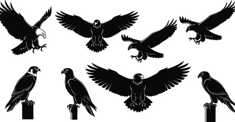 Obraz premium Eagle and Falcon Vector Illustration Set Featuring Bald Eagle Mascot Silhouettes Hawk Graphics Bird of Prey Icons and Predatory Raptor Elements for Logo Design