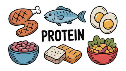 Essential Protein Sources: A vibrant illustration showcases a variety of protein-rich foods, perfect for health and balanced diet. This image highlights the building blocks for a healthy lifestyle.