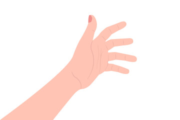 outstretched woman's hand, vector