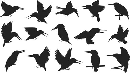 Kingfisher bird silhouettes, flying and perched poses, black vector icons, bird anatomy study, isolated white background, wildlife design
