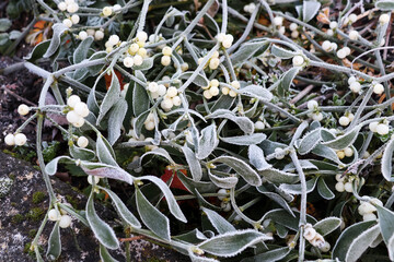 l hiver est arriv&eacute;e