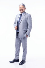 Portrait of confident professional businessman dressed in elegant suit standing against white background