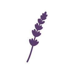Lavender icon on White Background Vector Art Illustration on white background.