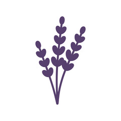 Lavender icon on White Background Vector Art Illustration on white background.