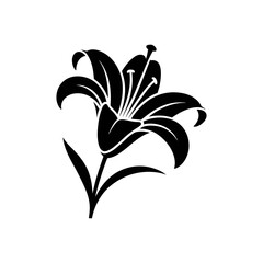 Lily icon on White Background Vector Art Illustration on white background.