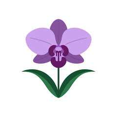 Orchid icon on White Background Vector Art Illustration on white background.