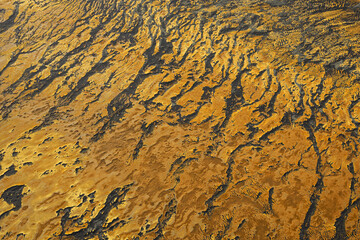 Aerial view of a textured landscape with golden hues contrasting against dark shadows, creating an abstract pattern reminiscent of veins, southern Iceland, Iceland.