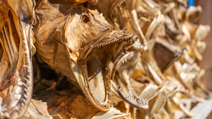 Hamnøy - der zauberhafte Fjord auf den Lofoten