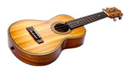 A wooden, acoustic instrument with strings and a round sound hole, isolated on black