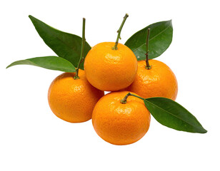 Close-up of four ripe, vibrant citrus fruits with green leaves, on a transparent background