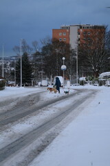 Aberdeen Scotland 3rd January 2025 Snow covered main road with in a snowy neighbourhood background. Dog walker