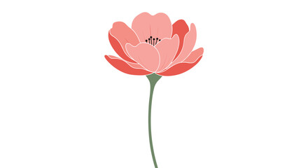 Obraz premium Simple and elegant illustration of a single pink poppy flower with a green stem isolated on a plain white background design.