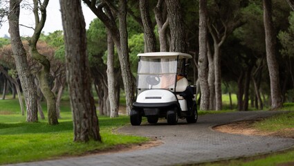  drive in a golf cart along a winding path
