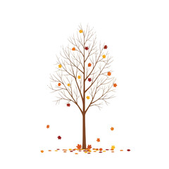 Obraz premium Autumn Tree Falling Leaves Isolated on White Background