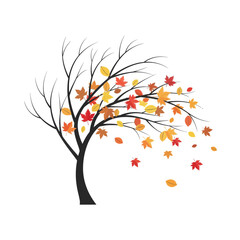 Naklejka premium Autumn Tree Falling Leaves Wind