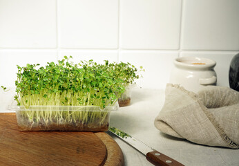 Microgreens grown at home for human consumption. Healthy eating
