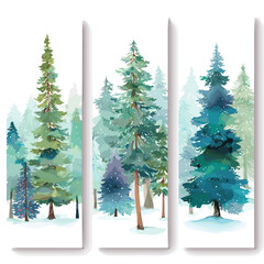 christmas trees isolated on white