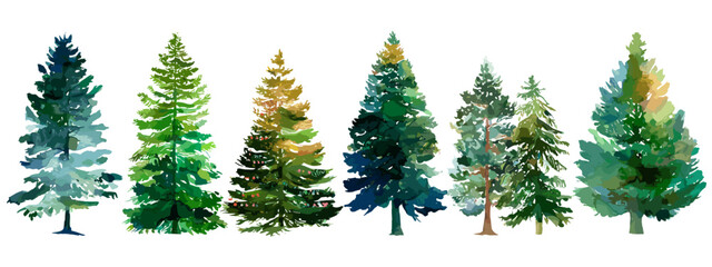 christmas trees isolated on white