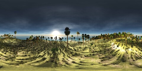 Tropical island with a palm tree at sunset. HDRI, environment map , Round panorama, spherical panorama, equidistant projection, panorama 360, seascape, 3d rendering.