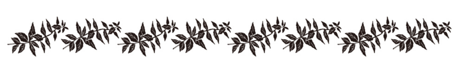 ミントの手書きモノクロイラスト © JunKikuchi