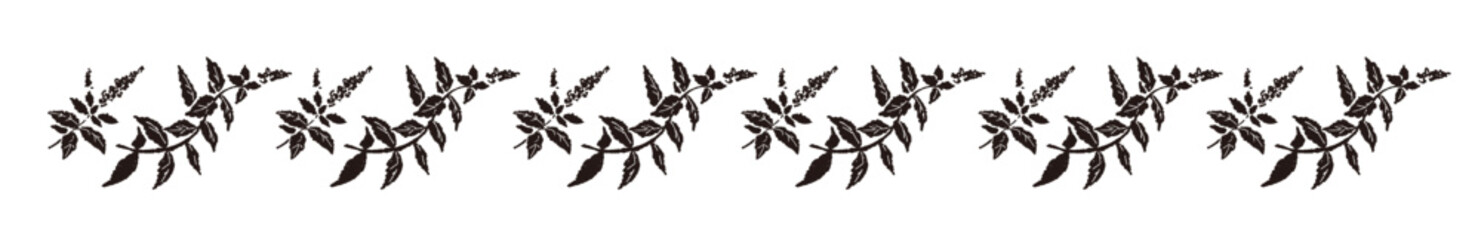 ミントの手書きモノクロイラスト © JunKikuchi