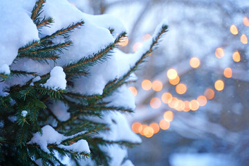 Snow-covered evergreen tree branches adorned with white snowflakes, surrounded by soft glowing lights, creating a cozy winter atmosphere with holiday spirit