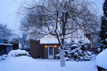 Snow-covered house with a bare tree in front, surrounded by snow-laden shrubs, creating a serene winter landscape with a tranquil atmosphere and soft evening light