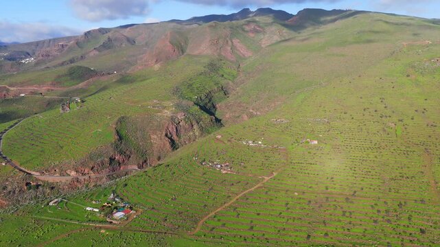 The Slot Canyon of Ag&uuml;imes: 4K Aerial of Barranco de las Vacas Featuring Sculpted Sandstone Curves and Lush Volcanic Highlands, Gran Canaria, Spain