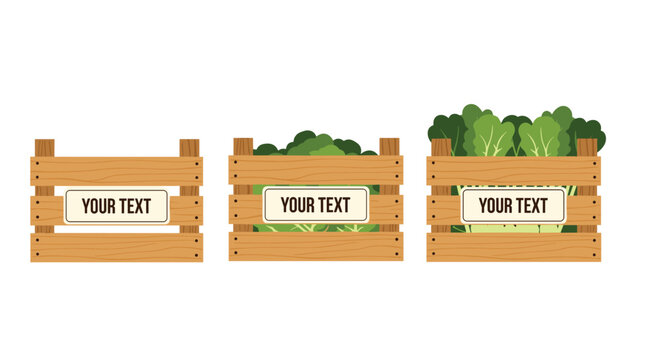 Set of three wooden crates, from empty to full of fresh green vegetables, with a blank label for custom text.