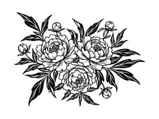 Black and white vector illustration of peonies and leaves 