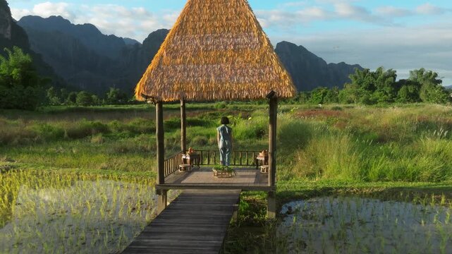 Vue a&eacute;rienne des montagnes de Vang Vieng, Laos