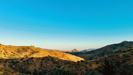 Hills with trees and general vegetation in golden hour sunlight under a blue sky. Andalusia, Spain. © ysbrandcosijn