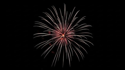 Bright Burst of Fireworks in the Night Sky Celebration