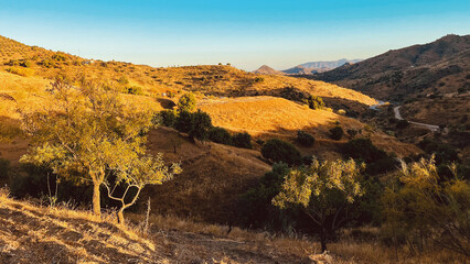 Hills with trees and general vegetation in golden hour sunlight under a blue sky. Andalusia, Spain.