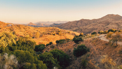 Hills with trees and general vegetation in golden hour sunlight under a blue sky. Andalusia, Spain. © ysbrandcosijn