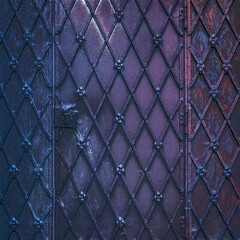 ARCHITECTURAL ELEMENTS - Steel doors with wrought iron decorations in the Gothic style