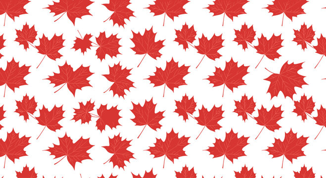 Vibrant red maple leaf seamless pattern on a white background celebrating the beauty of autumn and nature in a repeating design.