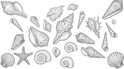 Hand drawn seashells and starfish collection, vintage marine sketch illustration set, ocean beach elements, engraved line art, design © Vexora Studio