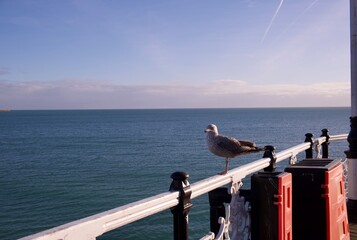 Brighton beach in Christmas time