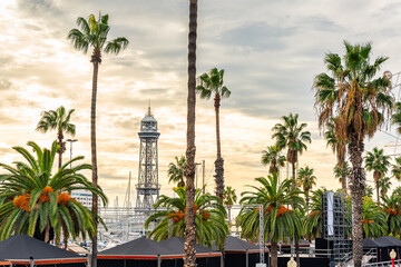 Barcelona promenade at sunset with the sky with golden clouds and tropical palm trees, Catalonia.
