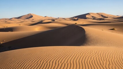Majestic Erg Chebbi Sand Dunes in Morocco at Sunset with Golden Light and Clear Blue Sky, Desert Landscape Background