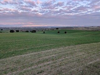 Green fields stretch across the landscape under a cloudy sky at dusk in the countryside