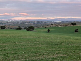 Green hills and distant mountains under a colorful sky at sunset in a rural area
