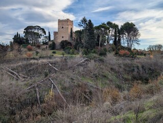 Historic castle stands on a hill surrounded by trees and overgrown land near sunset in rural Italy