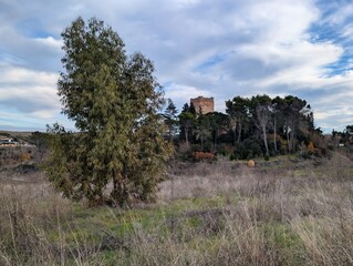 View of a castle in the distance surrounded by trees and grass during the day with clouds in the sky