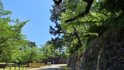 青空と新緑が美しい初夏の城跡と石垣の風景