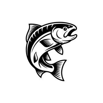 black and white vector icon of a jumping salmon featuring intricate scale patterns and fins. Perfect for seafood branding or fly fishing logos.